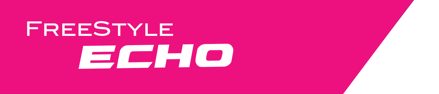 Echo Graphic 20